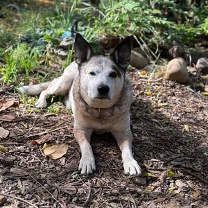 Meet your Posher, Jenella